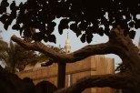 Photo: Shangyun shen, the Virgin Tree and the minaret of the Mosuque of Mary.